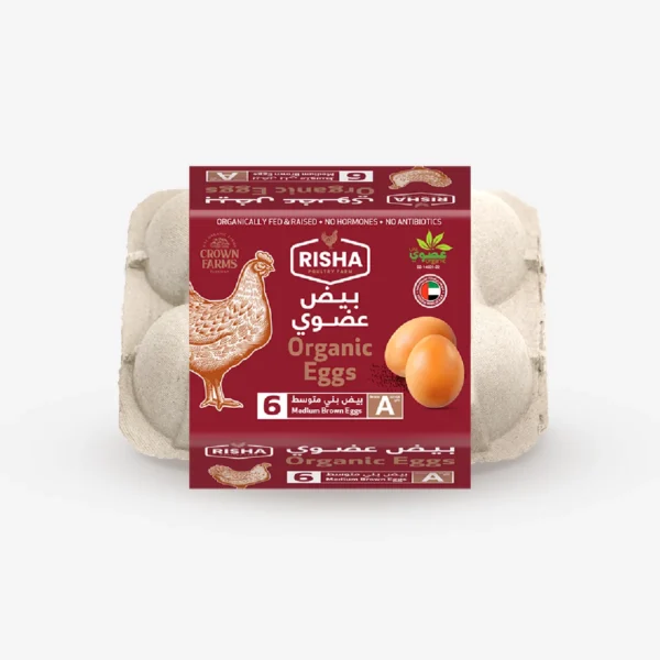 Organic Eggs, 6 pack